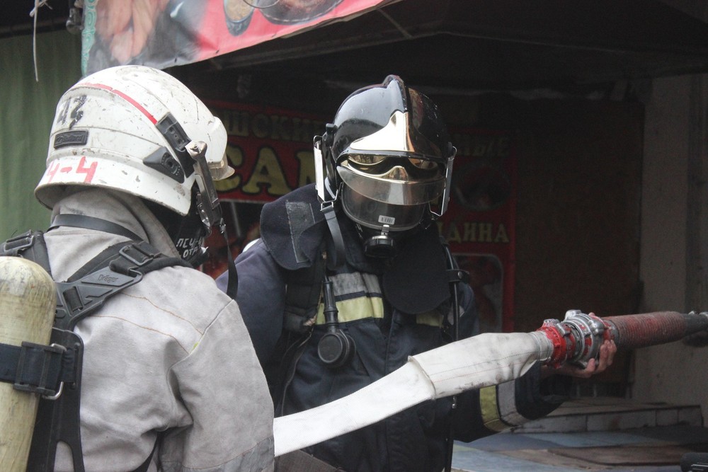 Иллюстрациялык сүрөт