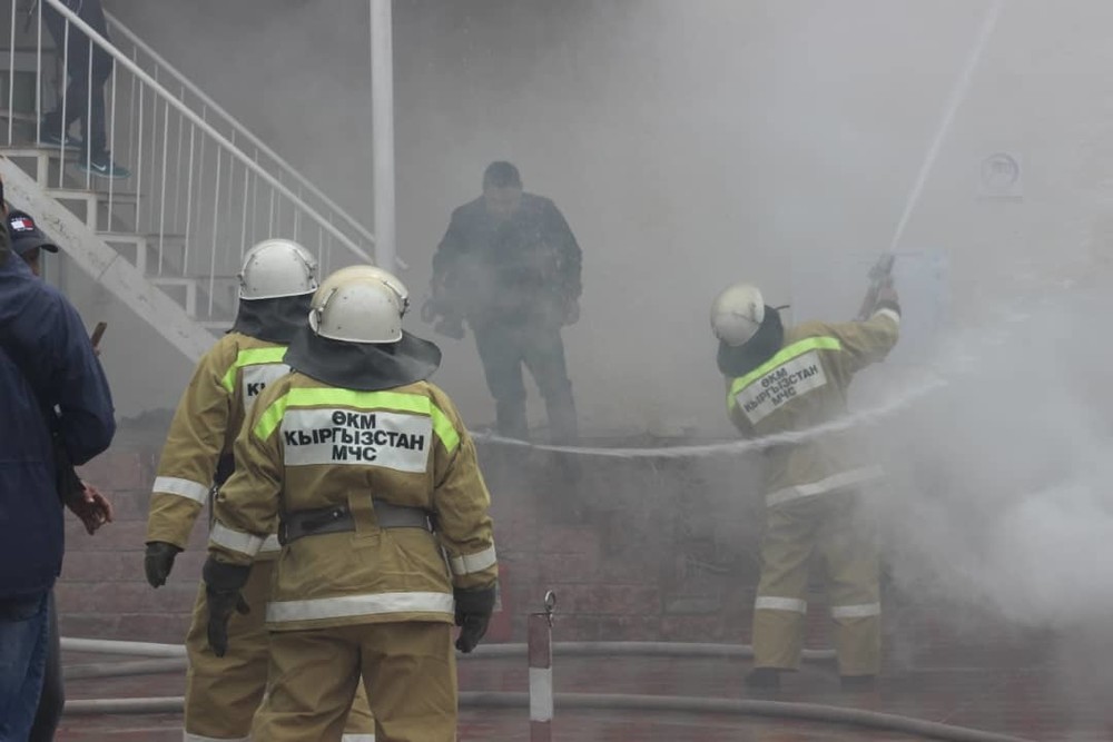 Иллюстрациялык сүрөт