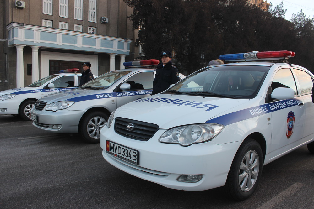 Иллюстрациялык сүрөт