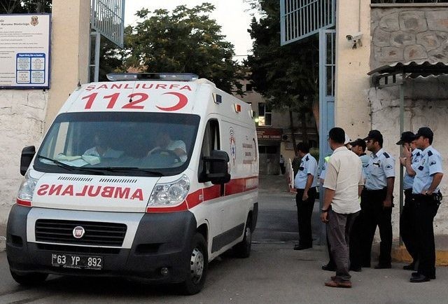 иллюстративное фото