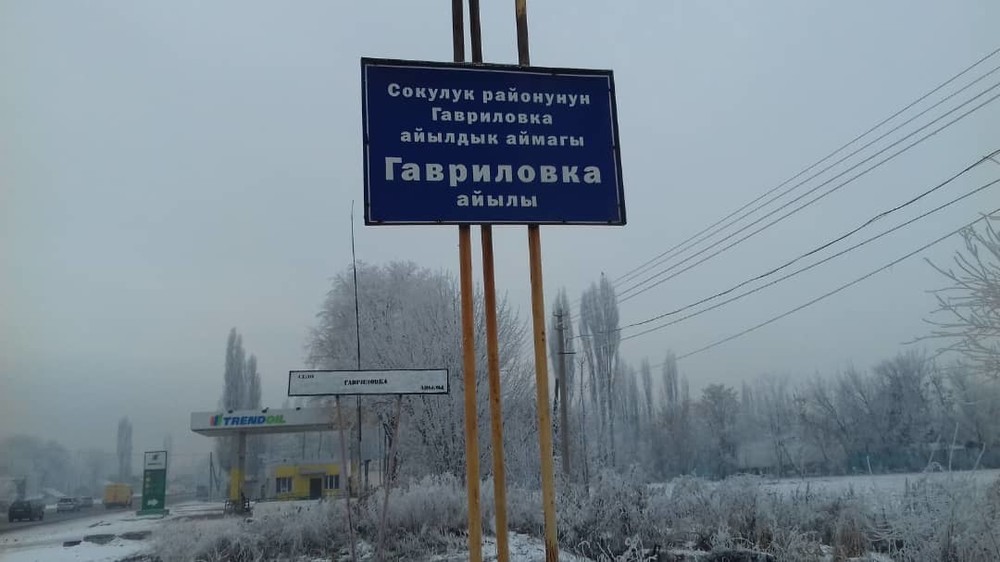 Гавриловка