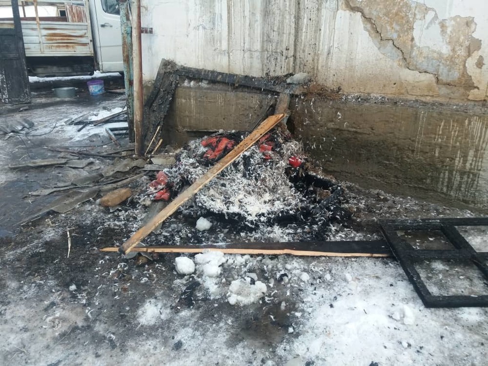 Иллюстрациялык сүрөт