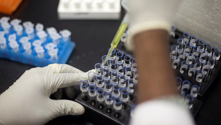 Иллюстрациялык сүрөт