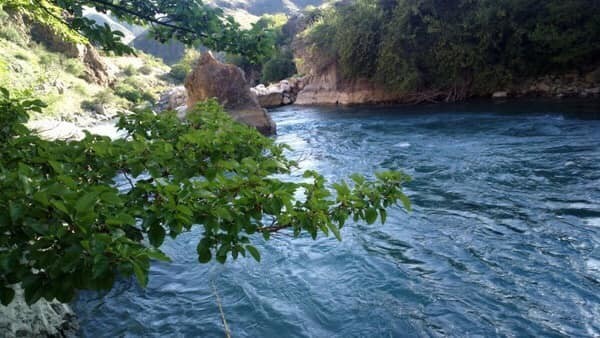 Иллюстрациялык сүрөт