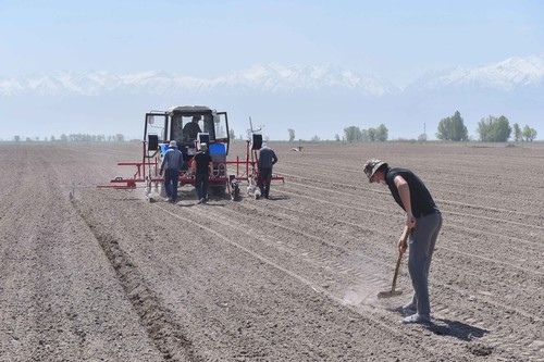 Агрокомплекс