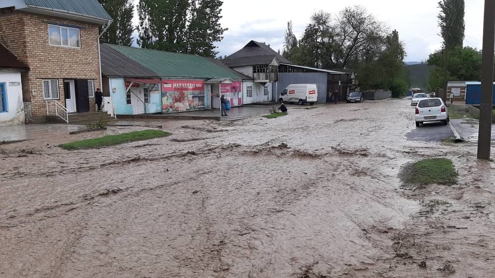 Иллюстрациялык сүрөт