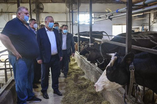 премьер-министр