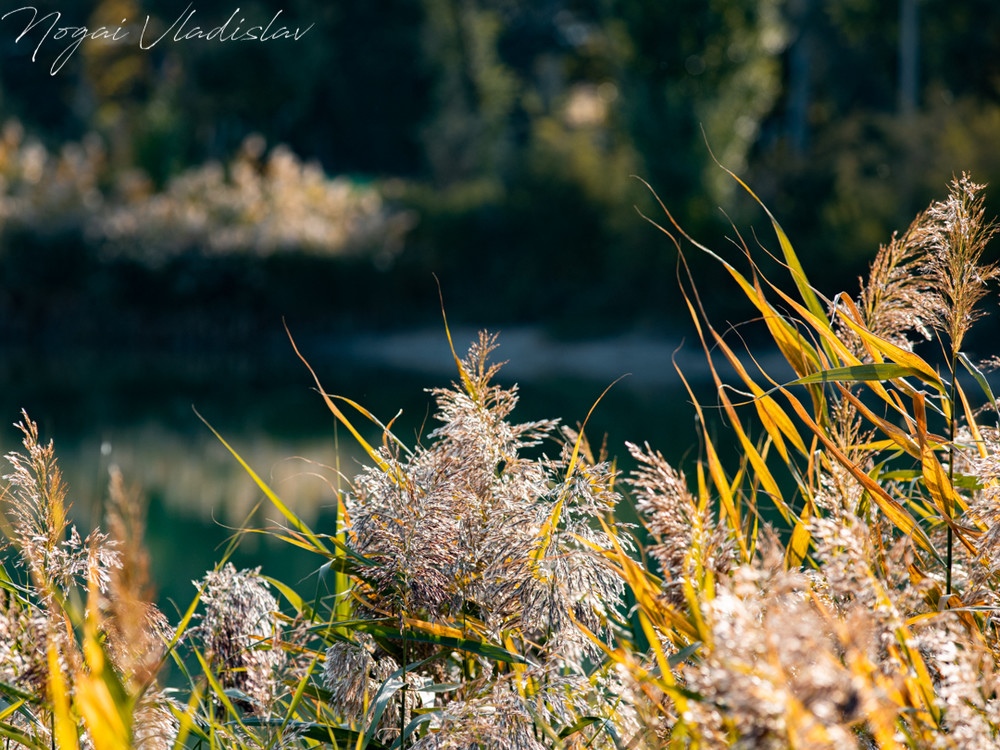 Автор: Владислав Ногай