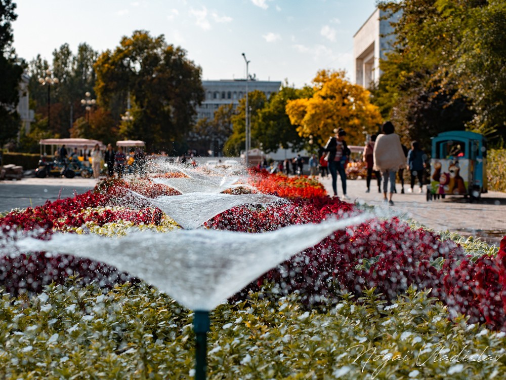 Автор: Владислав Ногай