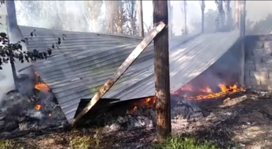 Иллюстративное фото