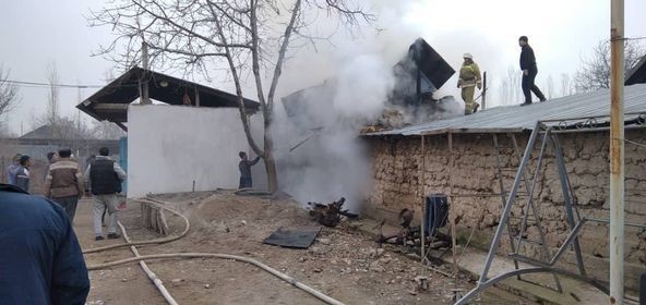 Иллюстрациялык сүрөт