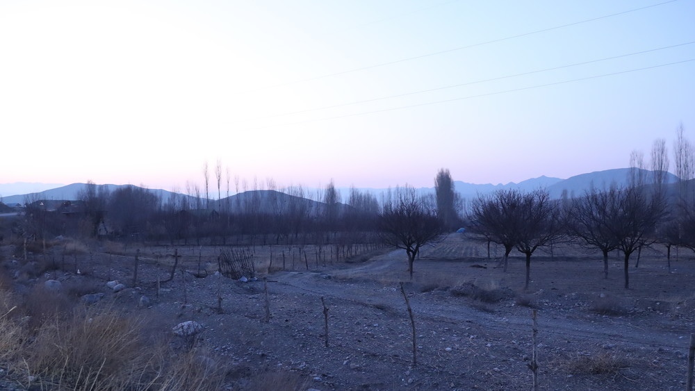 Иллюстративное фото