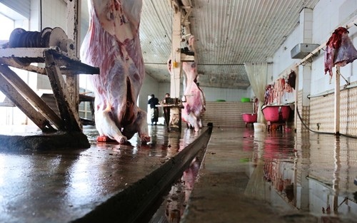 требования