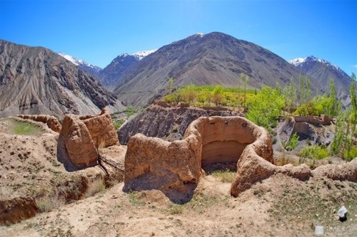 Камила Талиева