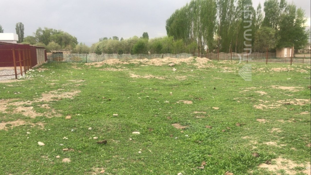 Иллюстративное фото