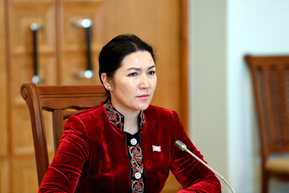 Вице-спикер Джамиля Исаева