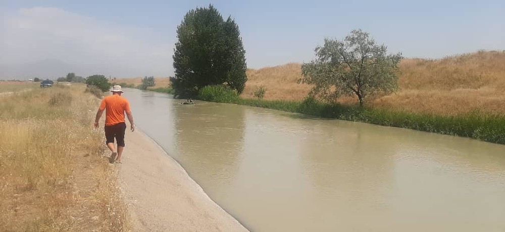 Иллюстрациялык сүрөт