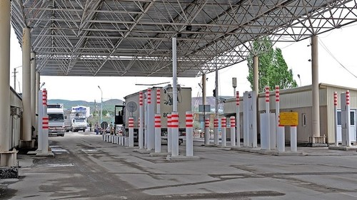 Фитосанитарный Контроль