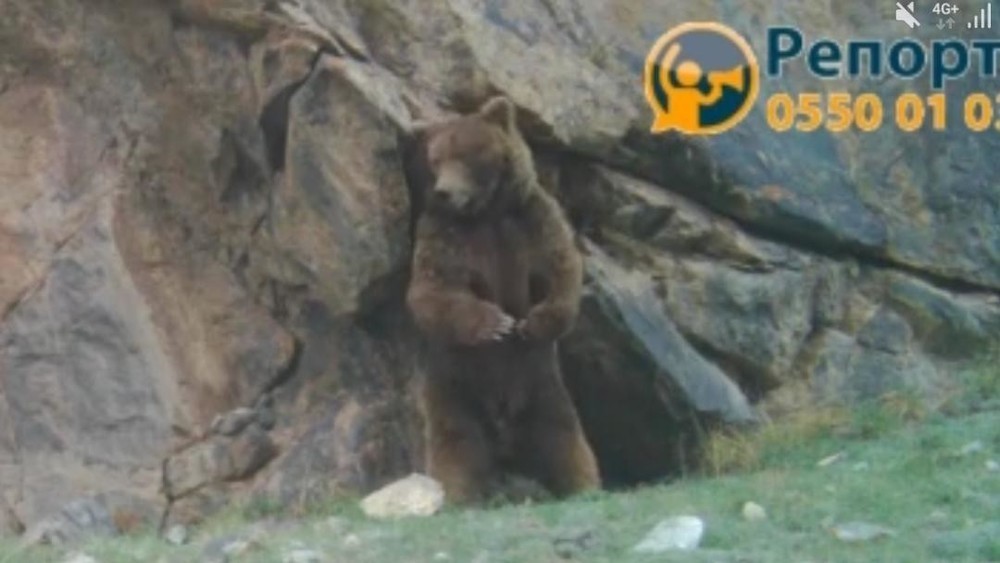 Иллюстративное фото