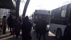 Общественный транспорт создает пробку возле остановок. Видео