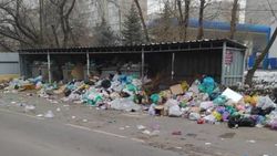 7 мкр превращается в свалку. Фото