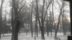Почему в домах горожан постоянно свет, при этом на улицах днем горят фонари? - горожанин