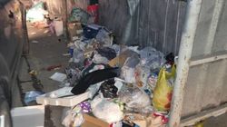 В Асанбае мусор из баков высыпается на проезжую часть. Фото