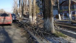 На Саманчина оставили ветки после обрезки. Фото