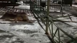 На Советской-Токтогула огородили парковку. Законно ли? Видео горожанина