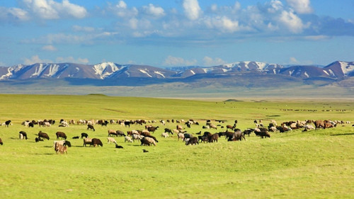 нарушители