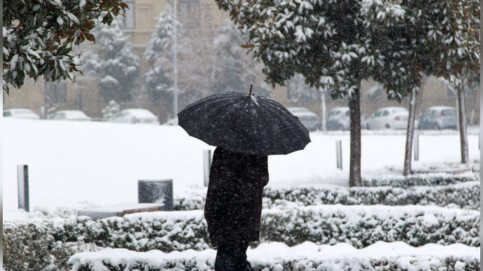 Иллюстративное фото