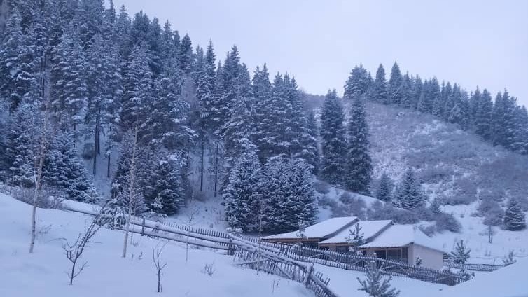 Иллюстрациялык сүрөт