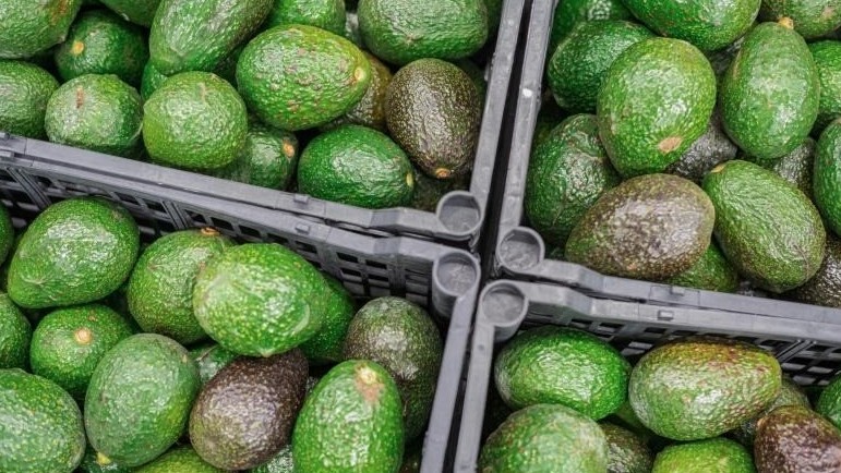 Авокадо из Мексики  Brian Overcast/ dpa/ Global Look Press