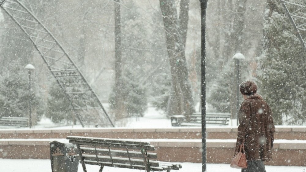 Иллюстративное фото