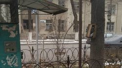 На Логвиненко стихийные продавцы прибили к дереву счетчик. Фото