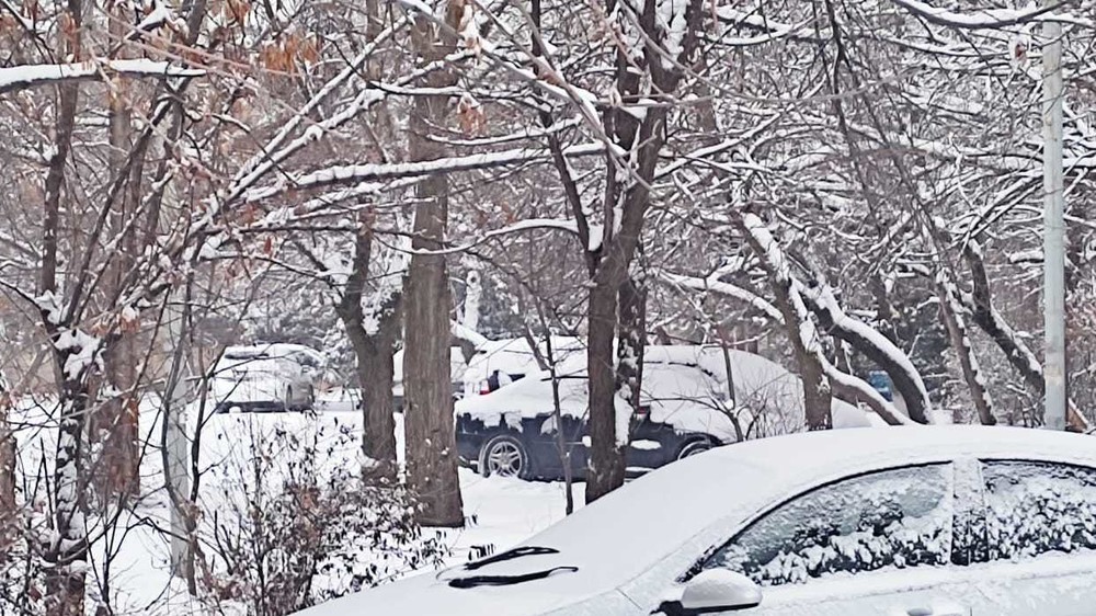 Иллюстрациялык сүрөт