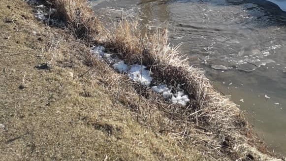 Иллюстрациялык сүрөт