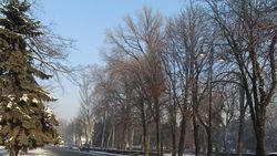 «Пока полстраны сидит без света». На Старой площади днем горят фонари. Фото горожанина