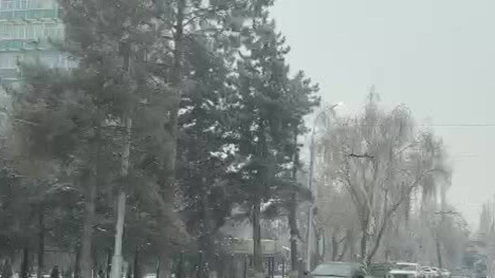 На Советской днем горят фонари. Видео горожанина
