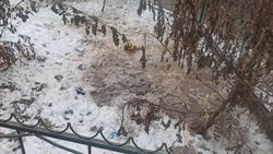 В Востоке-5 павильоны сливают нечистоты на газон. Фото