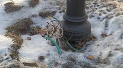 Из фонарей возле Минкультуры торчат провода. Фото горожанина