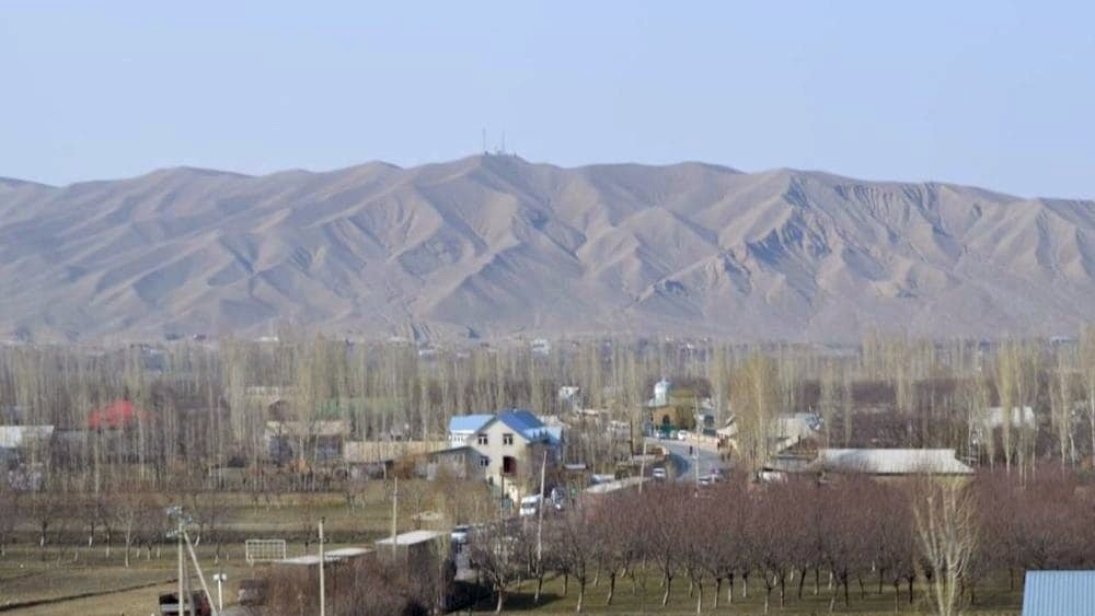 Иллюстрациялык сүрөт