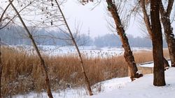 Кто отвечает за безопасность на стихийных катках на озерах в Бишкеке? - горожанин