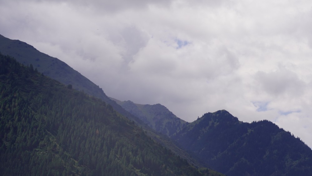 Иллюстрациялык сүрөт