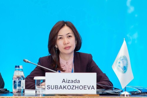 Айзада Субакожоева назначена замглавы Нацагентства по виртуа