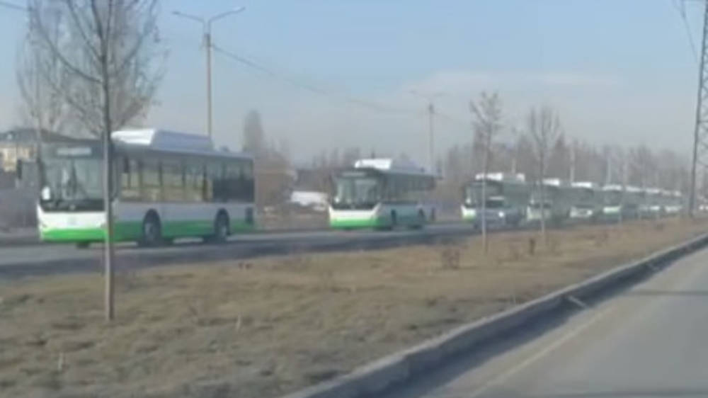 Колонна новых автобусов едет по Профсоюзной. Видео