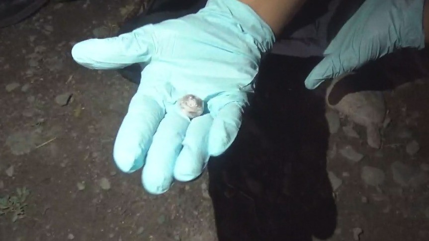 Иллюстративное фото