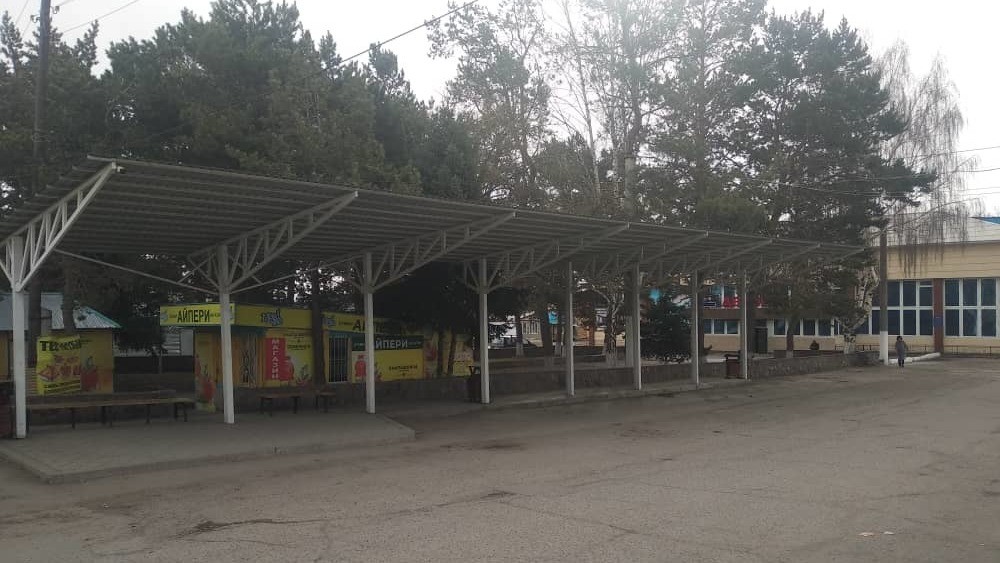 иллюстративное фото