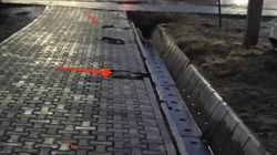 Зачем на тротуаре на Раззакова спилили деревья. Фото