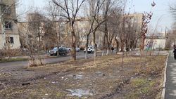 Много деревьев заболело и высохло, - житель 7 мкр